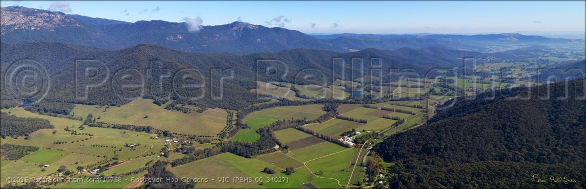 Peter Bellingham Photography Rostrevor Hop Gardens - VIC (PBH3 00 34027)